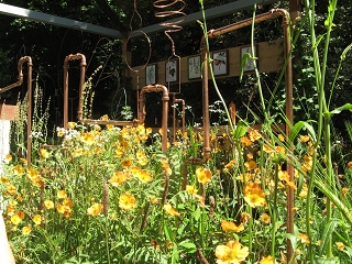 Chelsea Flower Show 2017 The Seedlip Garden